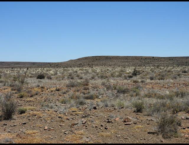 2,363HA FARM FOR SALE IN MERWEVILLE